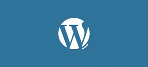 Varsayılan WordPress jQuery Dosyasını Google CDN Üzerinden Çekme