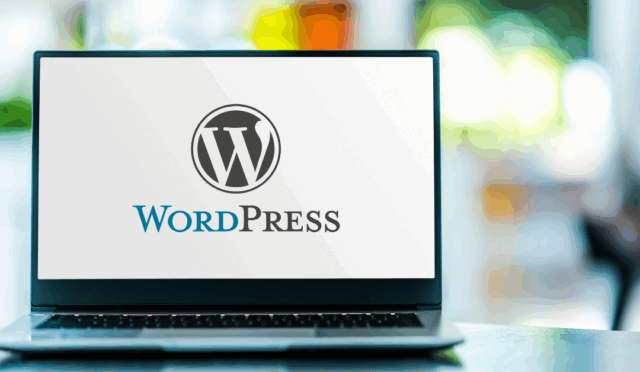 WordPress Tema Nasıl Yüklenir? [Resimli Anlatım]