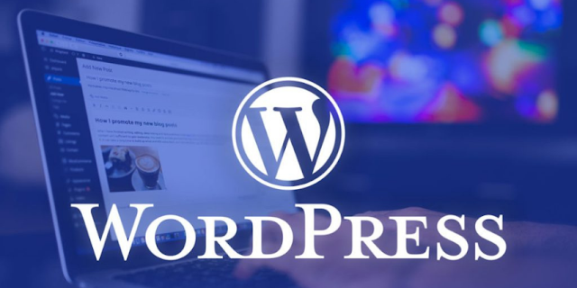 WordPress Tema Bulma Araçları