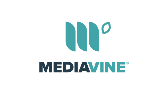 2. Mediavine - AdSense Alternatifleri: Gerçekten Kazandıran 13 Platform