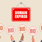 Drop Domain Nedir? Neden Bu Kadar Talep Görüyor?