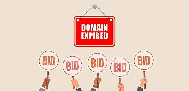 Drop Domain Nedir? Neden Bu Kadar Talep Görüyor?