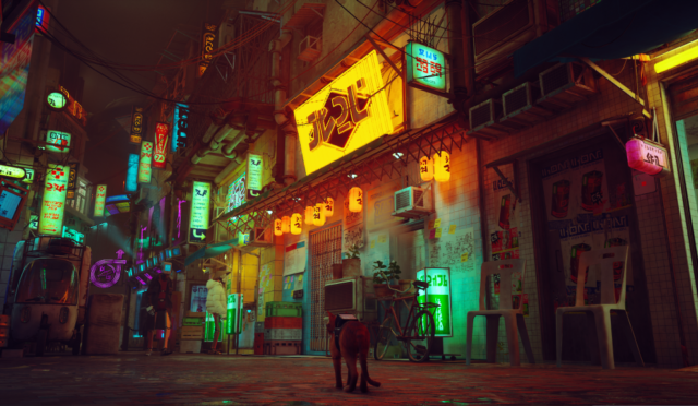 Stray System Requirements
